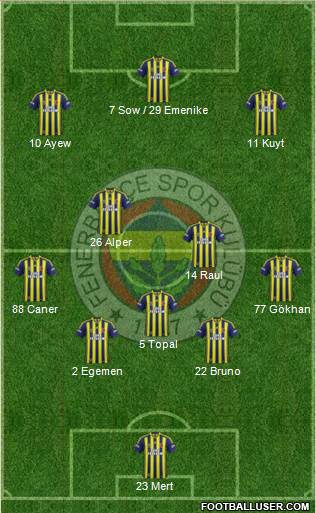Fenerbahçe SK Formation 2013