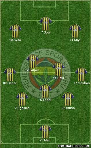 Fenerbahçe SK Formation 2013