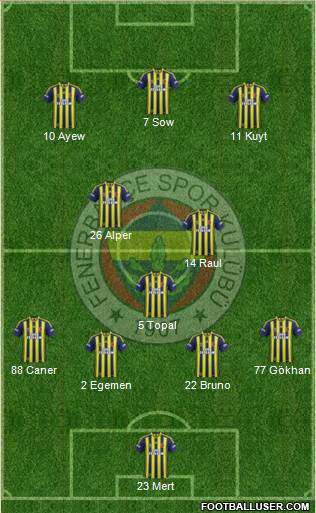 Fenerbahçe SK Formation 2013