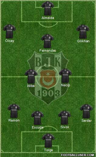 Besiktas JK Formation 2013