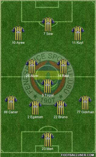 Fenerbahçe SK Formation 2013