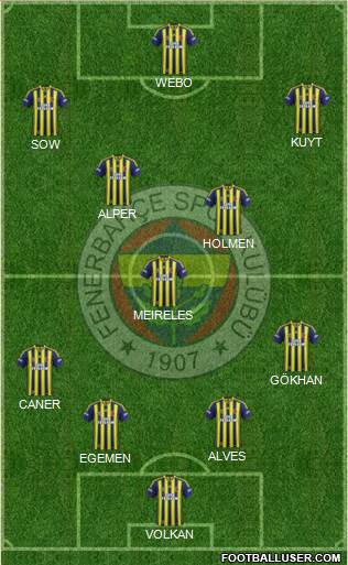 Fenerbahçe SK Formation 2013