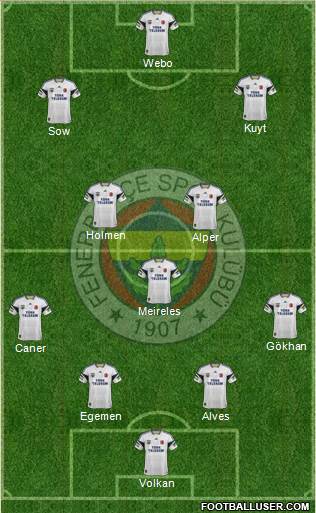 Fenerbahçe SK Formation 2013
