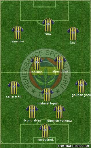 Fenerbahçe SK Formation 2013