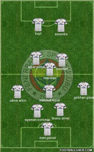 Fenerbahçe SK Formation 2013