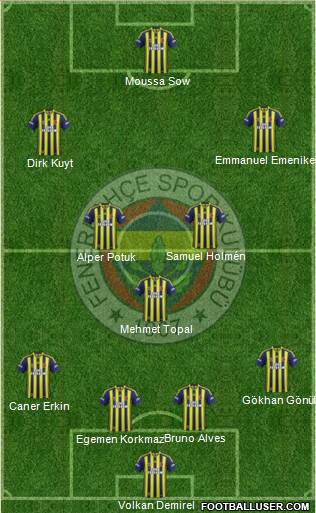 Fenerbahçe SK Formation 2013