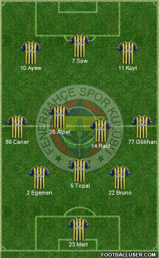 Fenerbahçe SK Formation 2013