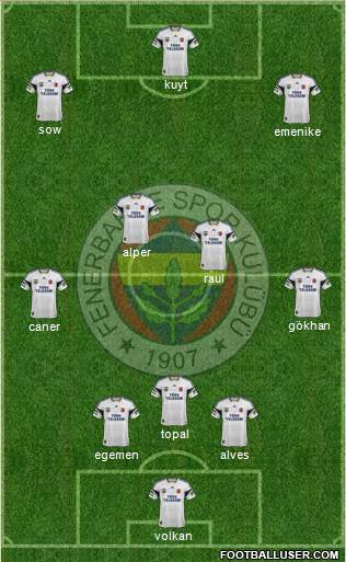 Fenerbahçe SK Formation 2013
