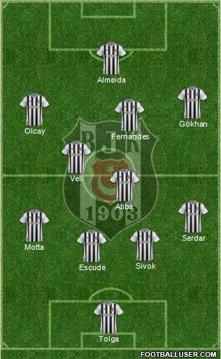 Besiktas JK Formation 2013