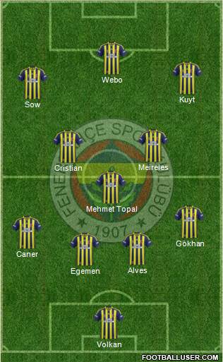 Fenerbahçe SK Formation 2013