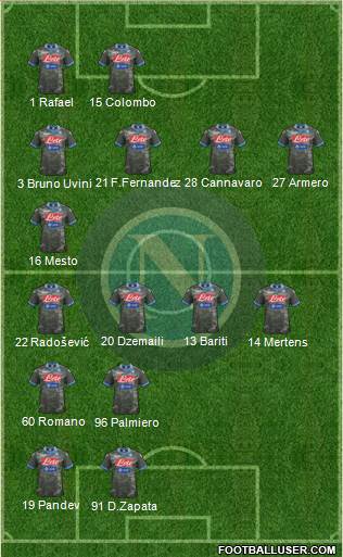 Napoli Formation 2013