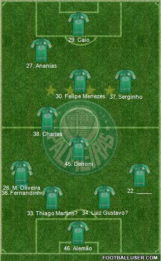 SE Palmeiras Formation 2013