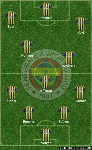 Fenerbahçe SK Formation 2013