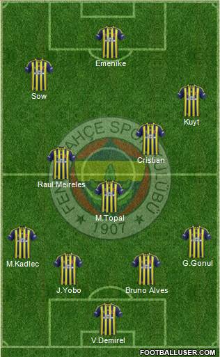 Fenerbahçe SK Formation 2013