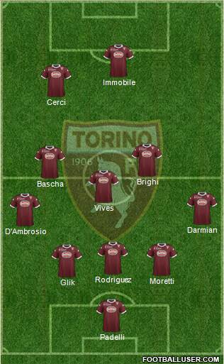 Torino Formation 2013