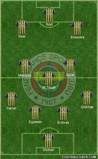 Fenerbahçe SK Formation 2013