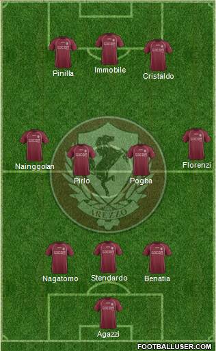 Arezzo Formation 2013