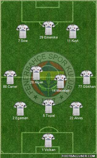 Fenerbahçe SK Formation 2013