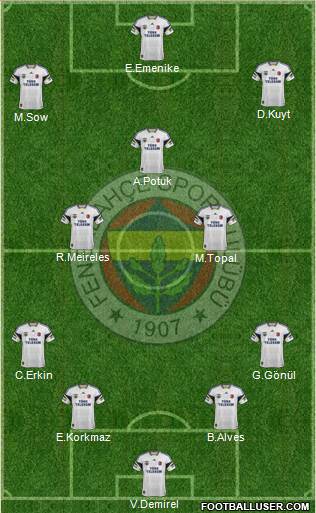 Fenerbahçe SK Formation 2013