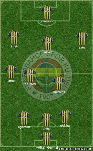 Fenerbahçe SK Formation 2013