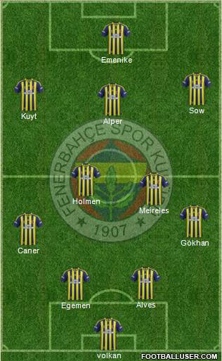 Fenerbahçe SK Formation 2013