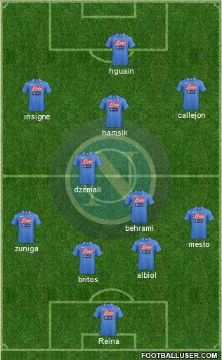 Napoli Formation 2013
