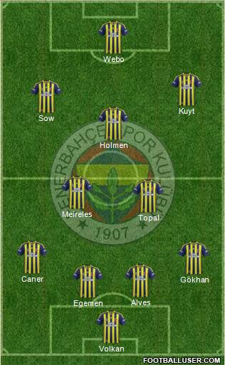 Fenerbahçe SK Formation 2013