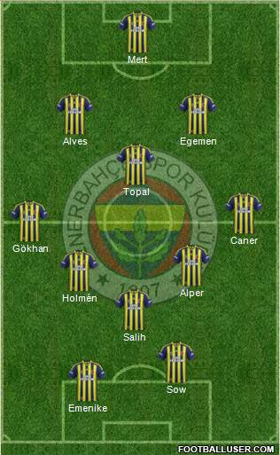 Fenerbahçe SK Formation 2013