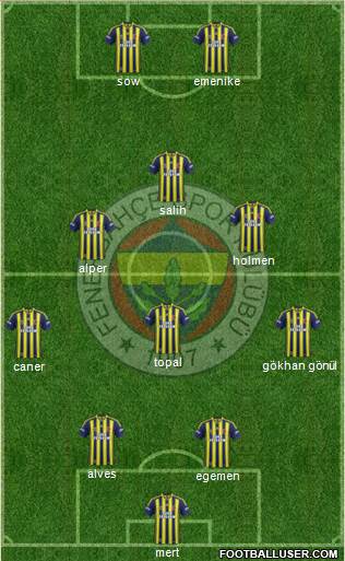 Fenerbahçe SK Formation 2013