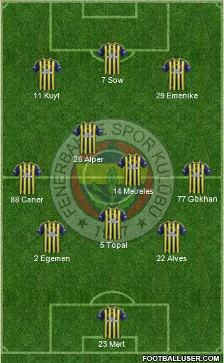 Fenerbahçe SK Formation 2013