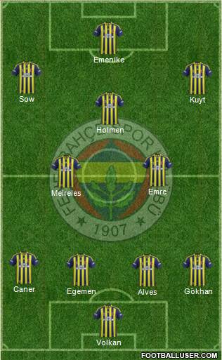 Fenerbahçe SK Formation 2013