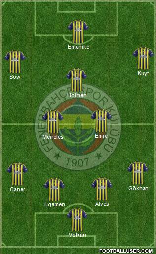 Fenerbahçe SK Formation 2013