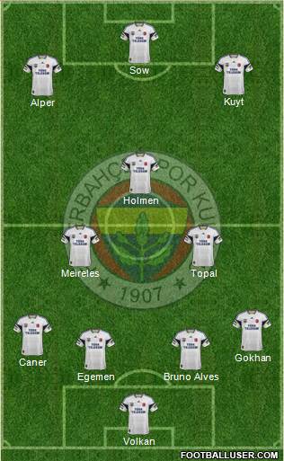 Fenerbahçe SK Formation 2013