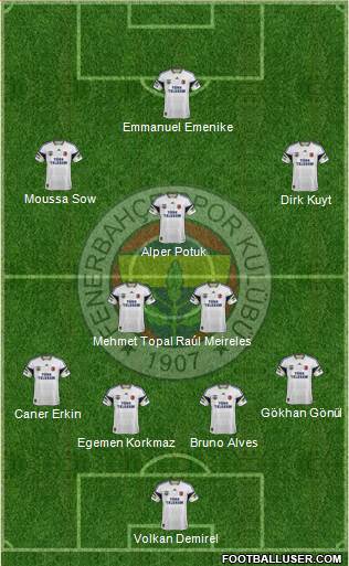 Fenerbahçe SK Formation 2013