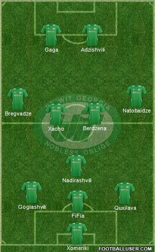 WIT-Georgia Tbilisi Formation 2013