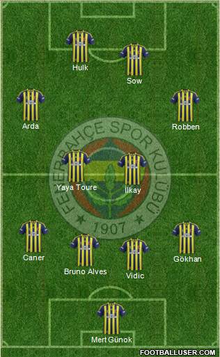 Fenerbahçe SK Formation 2013