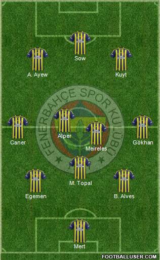 Fenerbahçe SK Formation 2013