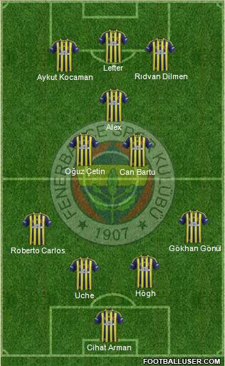 Fenerbahçe SK Formation 2013
