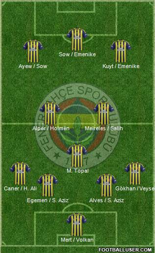 Fenerbahçe SK Formation 2013