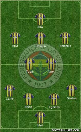 Fenerbahçe SK Formation 2013
