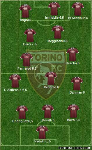 Torino Formation 2013