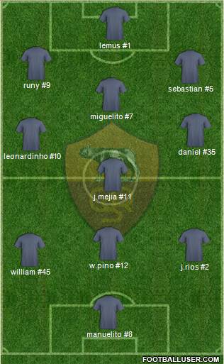 St. Catherine's Roma Wolves Formation 2013
