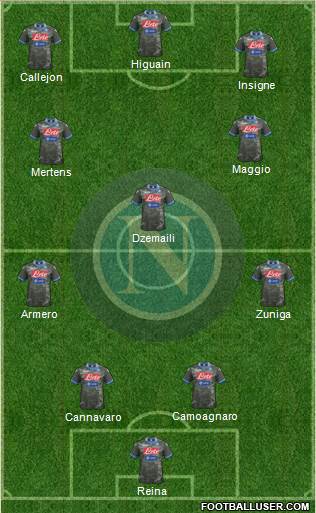Napoli Formation 2013