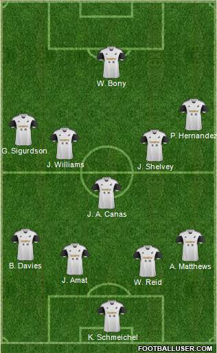 Swansea City Formation 2013