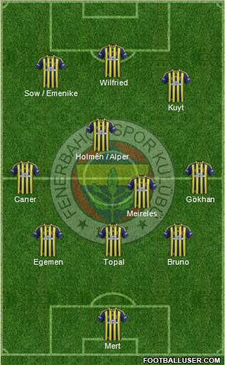 Fenerbahçe SK Formation 2013