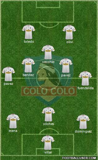 CSD Colo Colo Formation 2013