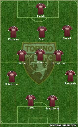 Torino Formation 2013