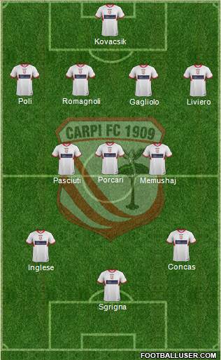 Carpi Formation 2013