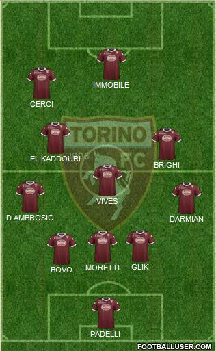 Torino Formation 2013