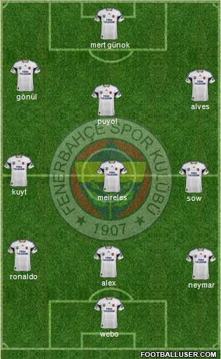 Fenerbahçe SK Formation 2013